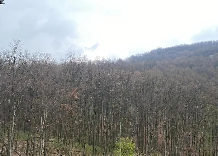 Forest View Apartman Rogaca (Sopot)